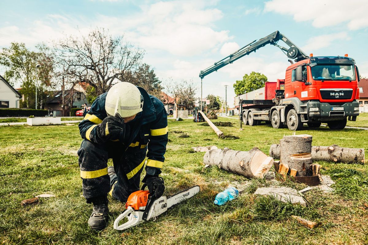 Drainage, tree work & specialist ground works