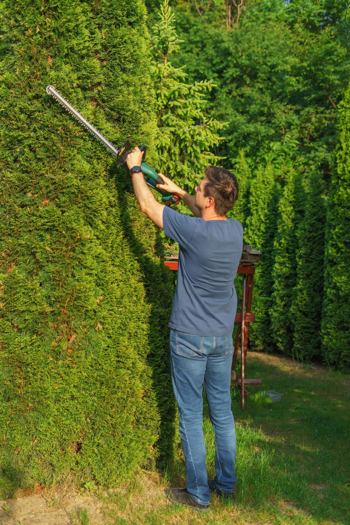 Hedge trimming, shrub beds & ornamental areas
