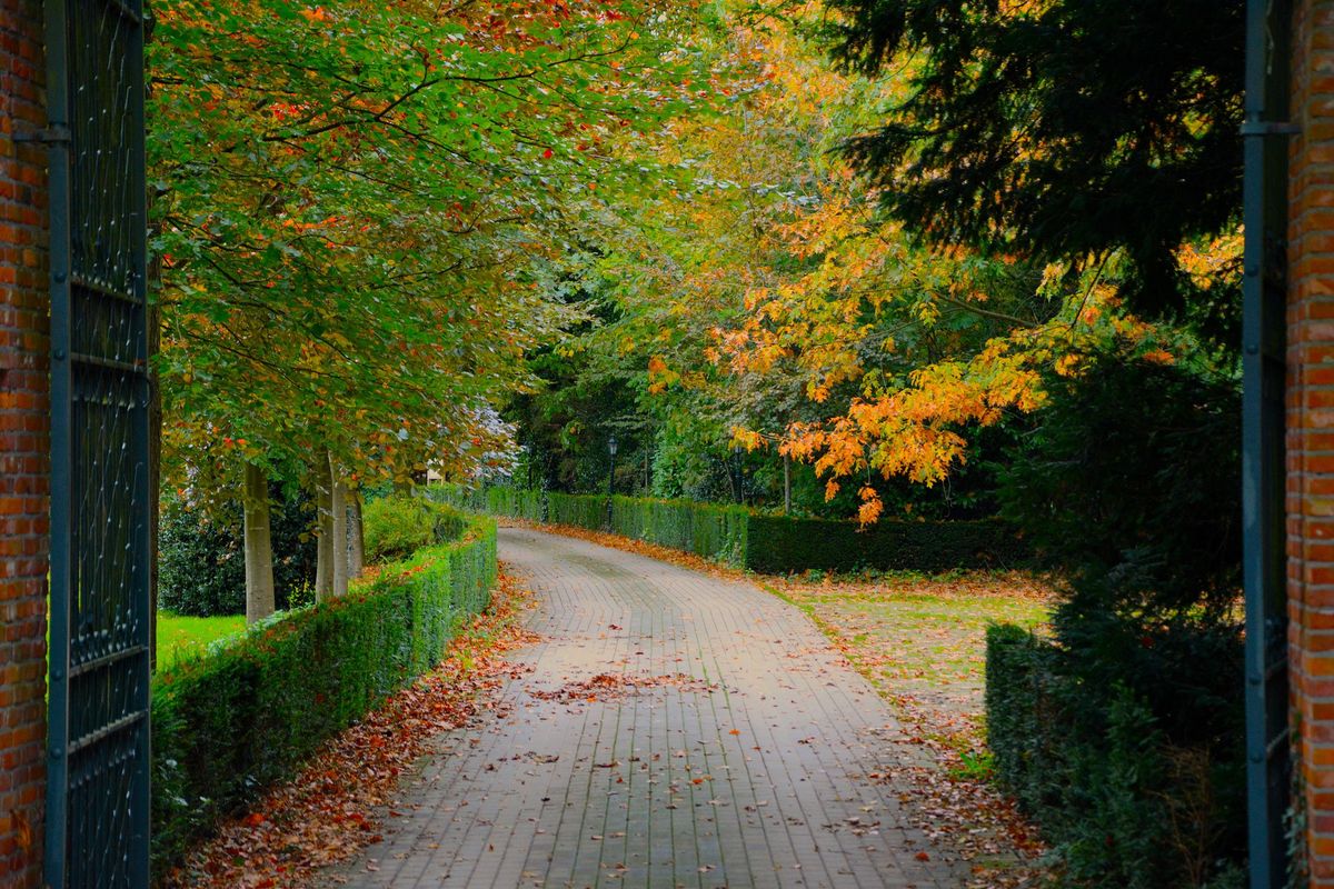 Leaf clearance, weed control & site tidying