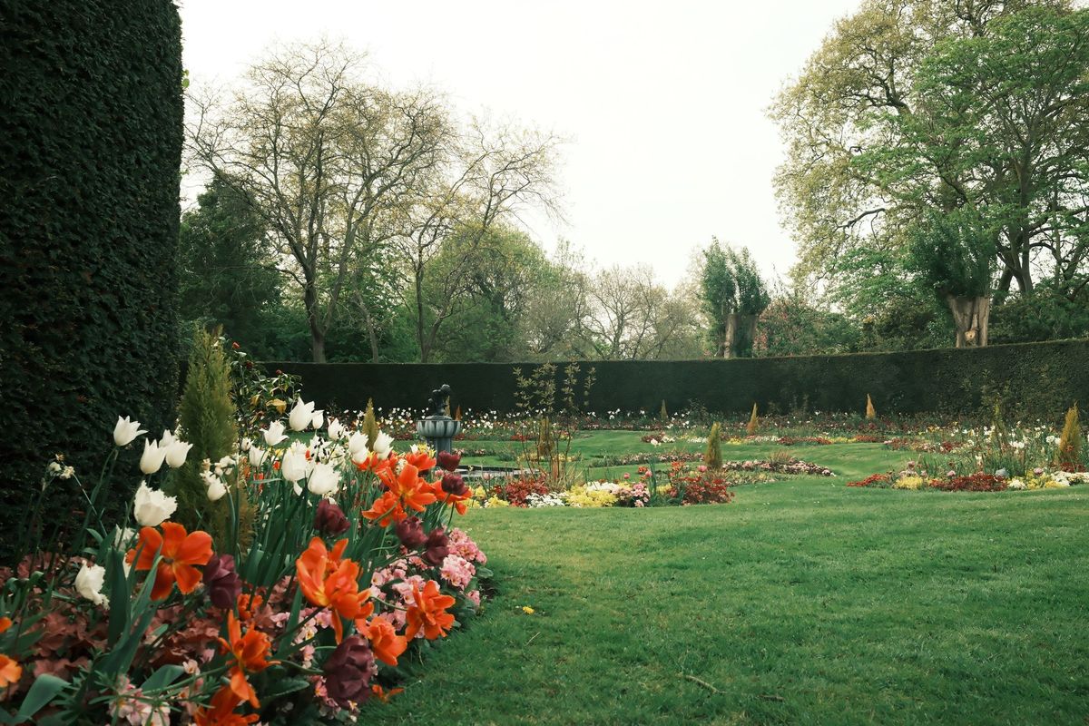 Shrub, hedge & tree planting