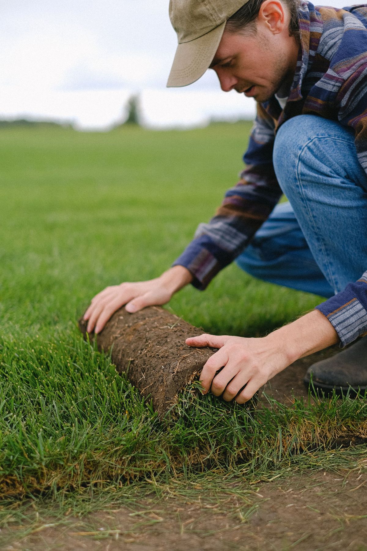 Turfing & grass seeding