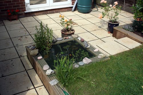 A rear patio reworked, with a pond built into the corner